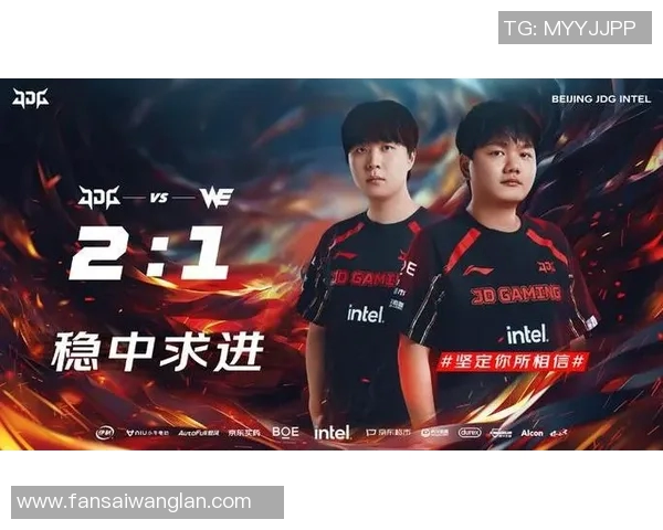 赛后分析:WE与JDG对决中的战术较量与团队协作探讨