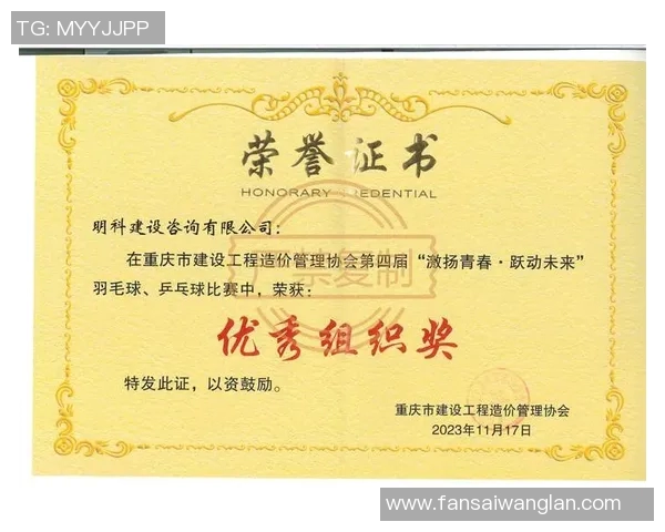 重庆羽毛球队防反战术解析与实战应用探讨