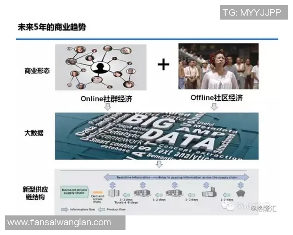 成都滑板队的成功运营模式与发展策略深度解析