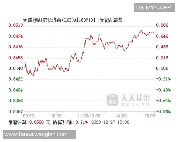 武汉极限运动队的蜕变与成长：从传统到创新的全新旅程