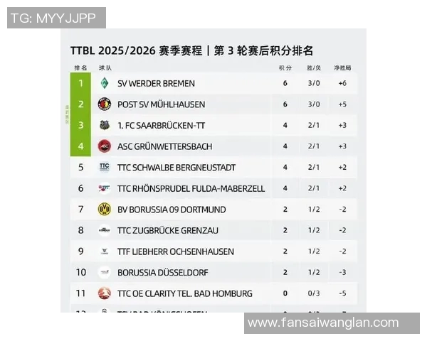 最新公布的德甲球队排名名单及排名变化分析