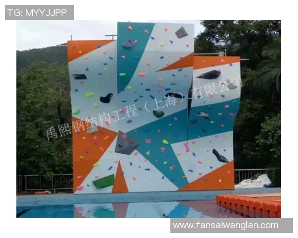 上海攀岩队心理素质分析与表现评估研究报告