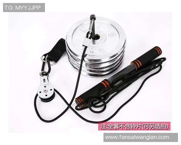 飞鸟健身器材滑轮系统设计及运动效果评测
