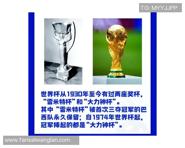 全球最火的女足球明星背后的故事与成就解析