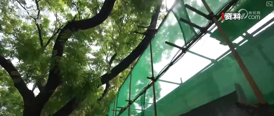 星空·体育中国综合古建抖擞华彩 北京中轴线是古都庇护与可连续开展的中国案例(图15)